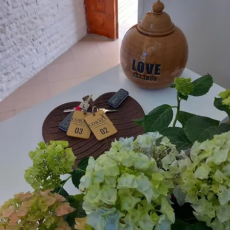 Ida Vlore