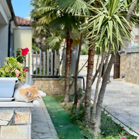 Ida Vlorë